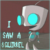 Squirrel facebook avatar