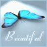 Beautiful Butterfly