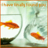 Finally Found You