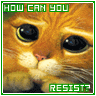 Cat Avatar