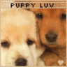 Dog Avatar
