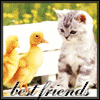 Friend Avatar