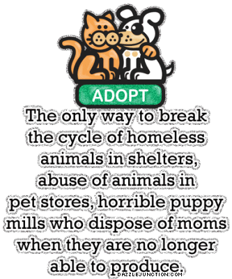 Animal Adopt A Pet quote