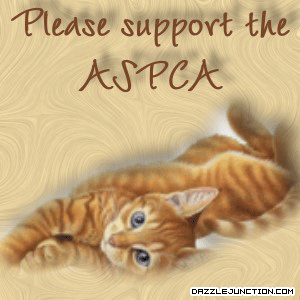 Animal awareness Aspca Cat picture