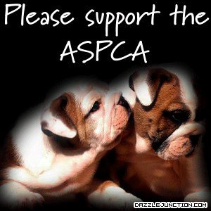 Animal awareness Aspca Dog picture