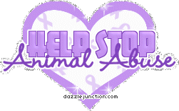 Stop Animal Abuse
