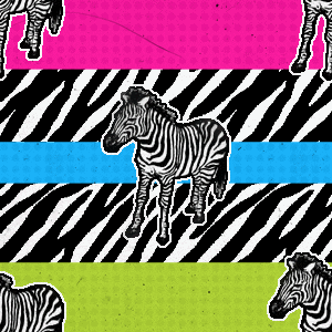 Zebra Background