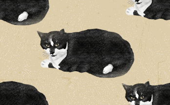 Black White Cat Background