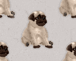 Dog Background