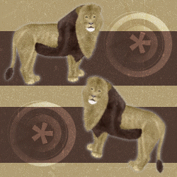 Lion Background