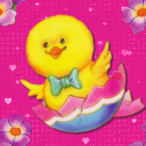 Pink Chick Background