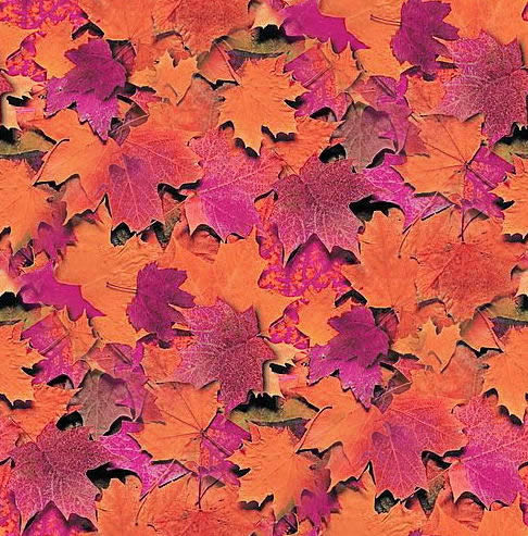 Orange Leaves Background
