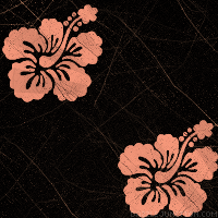 Peach Black Background