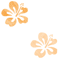 White Orange Background