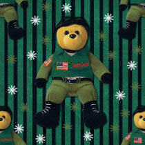 Airforce Bear Background
