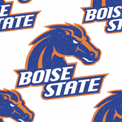 Boise State Broncos Background