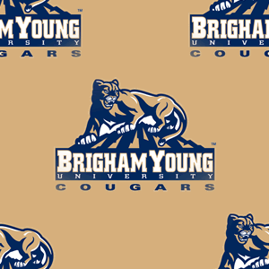 Brigham Young Cougars Background
