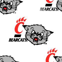 Cincinnati Bearcats Background