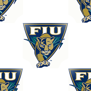 Fiu Golden Panthers Background