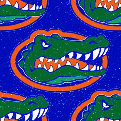 Florida Gators Background