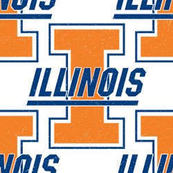 Illinois Fighting Illini Background