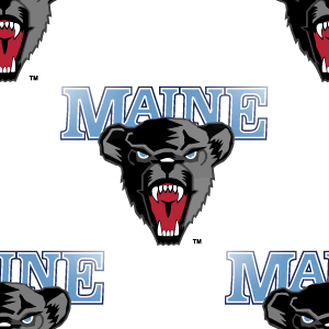 Maine Bears Background