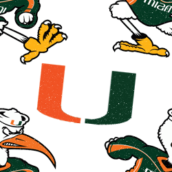 Miami Hurricanes Background