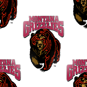 Montana Grizzlies Background