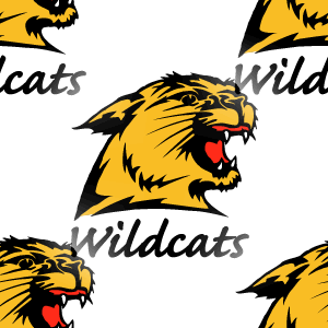 Nmu Wildcats Background