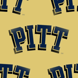 Pittsburgh Panthers Background