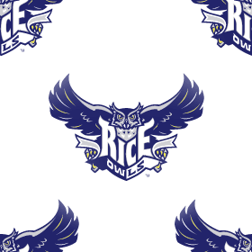 Rice Owls Background