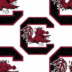 South Carolina Gamecocks Background