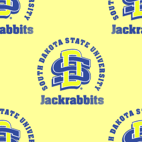 South Dakota State Background