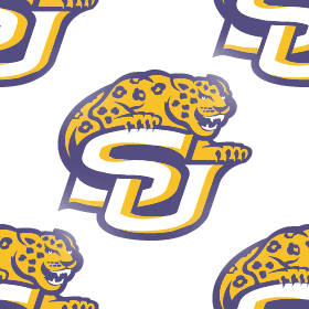 Southern Jaguars Background