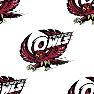 Temple Owls Background
