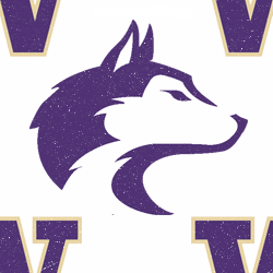 Washington Huskies Background