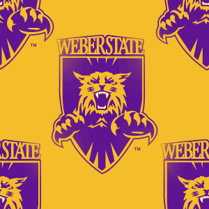 Weber State Background