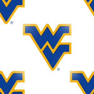 West Virginia Mountaineers Background