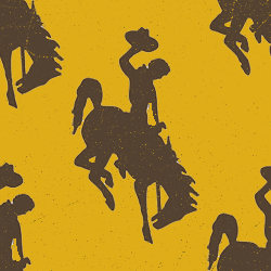 Wyoming Cowboys Background