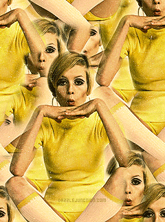 Twiggy Yellow Background