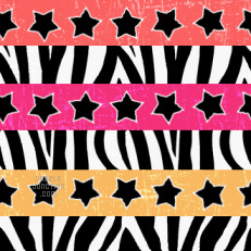 Zebra Stripes Background