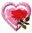 Rose Pink Heart