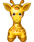 Giraffe picture