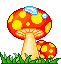Mushroom picture