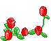 Roses Grow picture