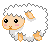 Sheep picture