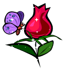 Butterfly And Rose picture