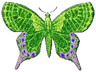 Green Glitter Butterfly picture