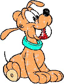 Fido