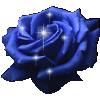 Blue Rose picture